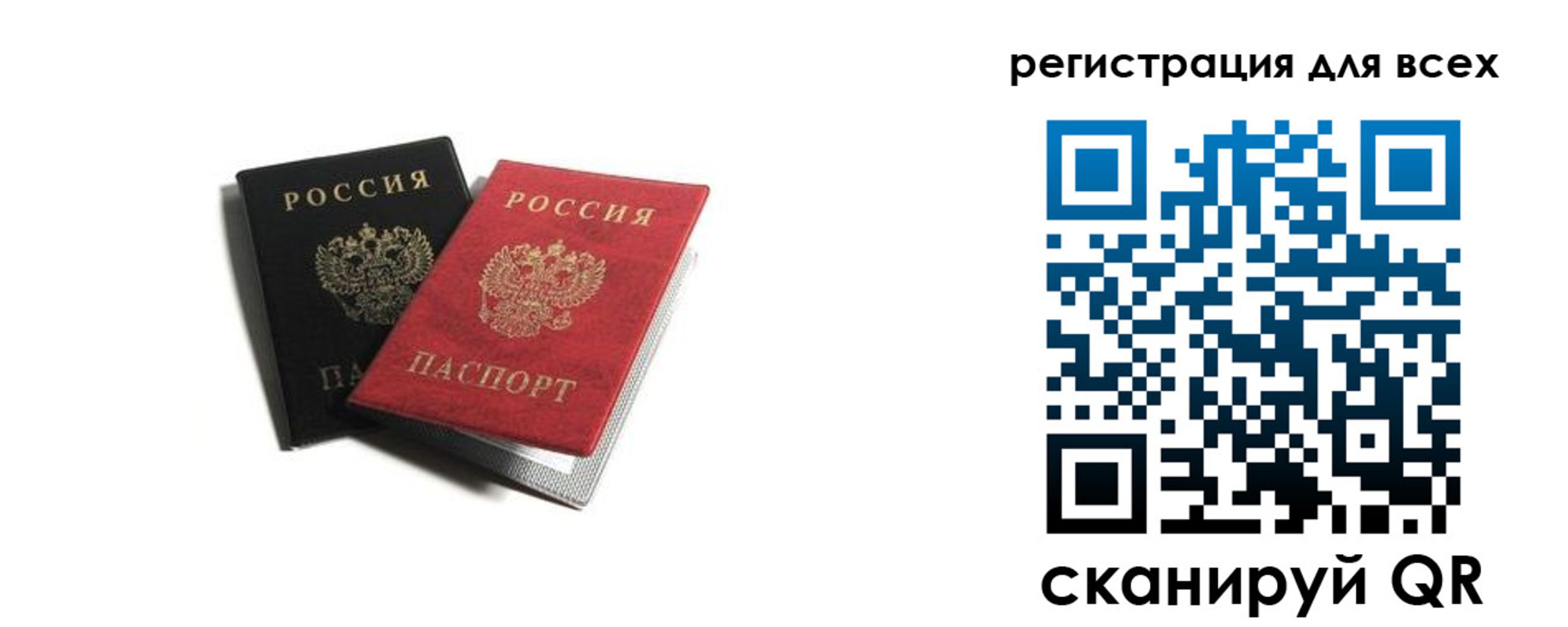 где прописаться в Павловске