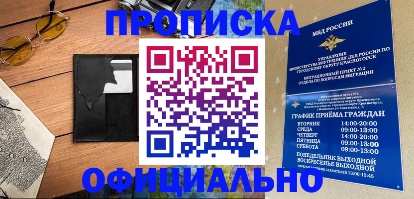 прописка поиск в Павловске